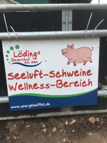 Schild "Seeluft-Schweine Wellness-Bereich" auf Bauernhof.