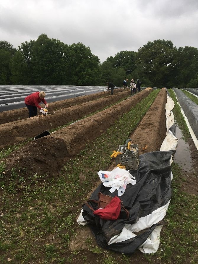 Gartenrestaurant am Seeufer.