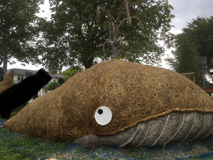 Wal aus Strohballen mit Auge.