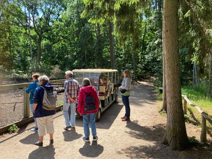 Gruppe am Safari-Wagen im Wald.