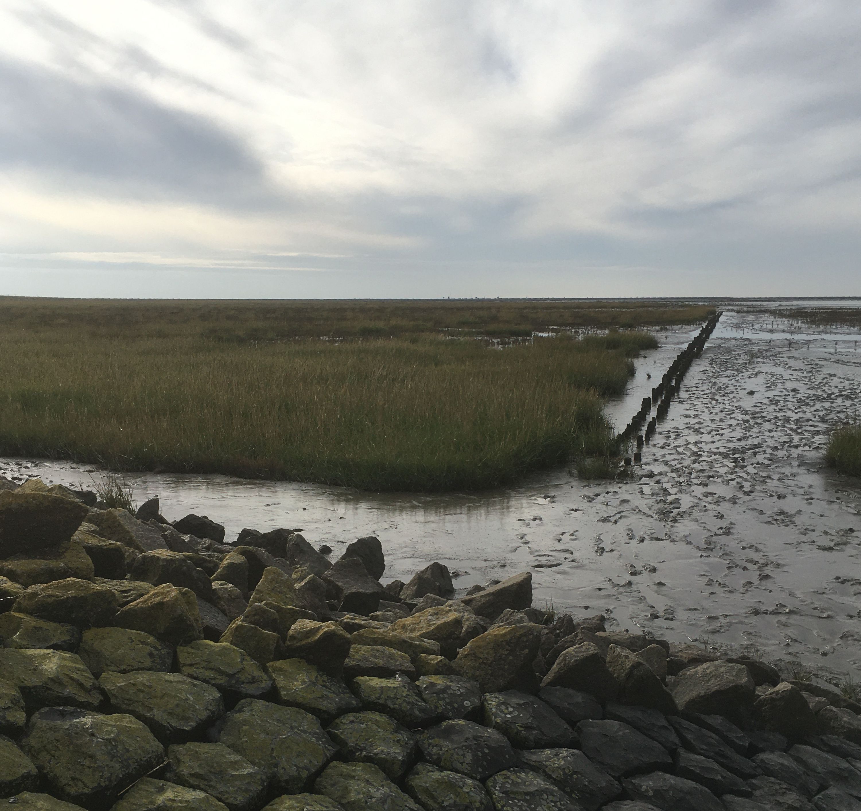 Küstenlandschaft mit Felsen, Wasser und Schilf.