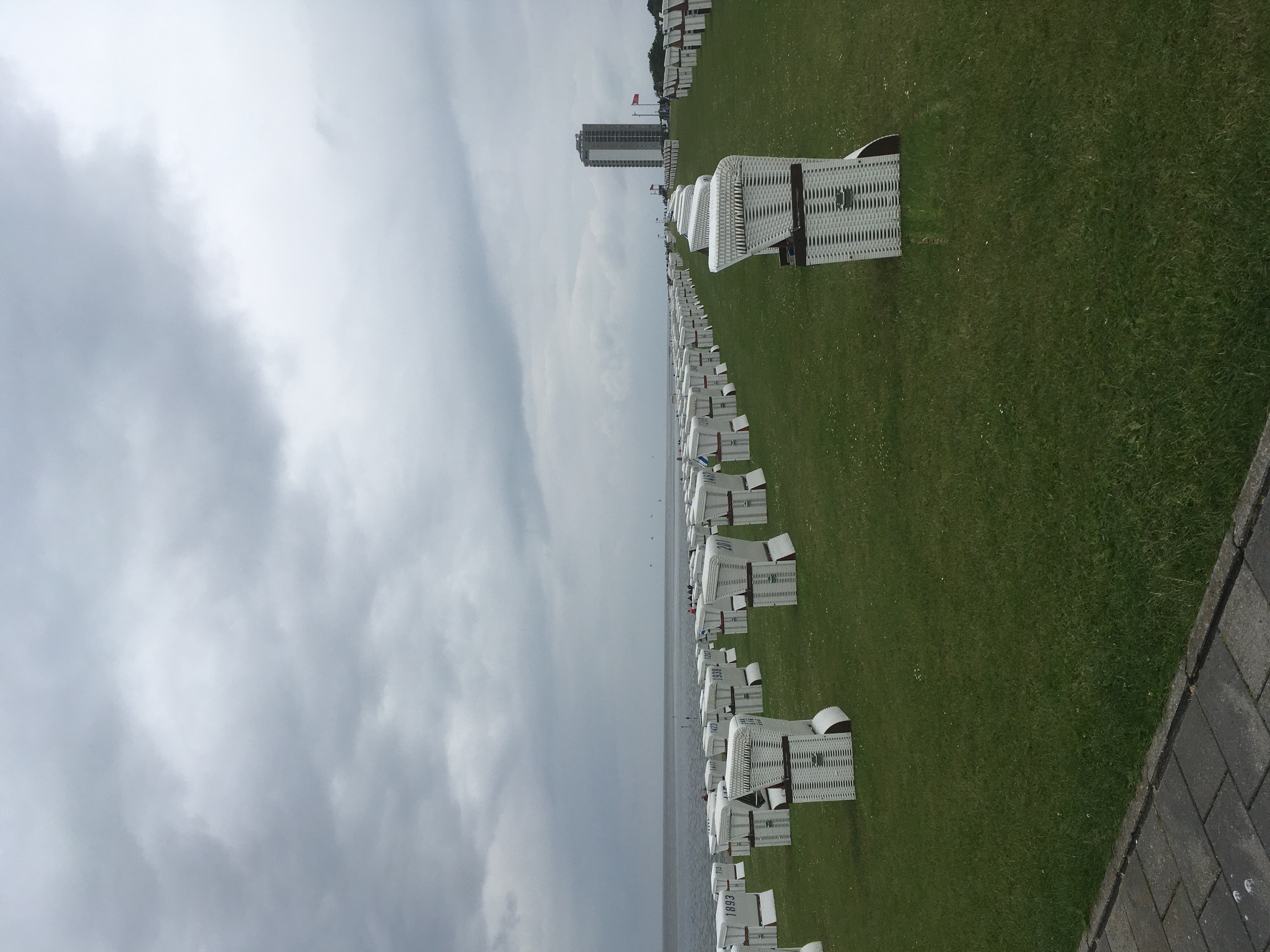 Strandkörbe auf grüner Wiese unter bewölktem Himmel.