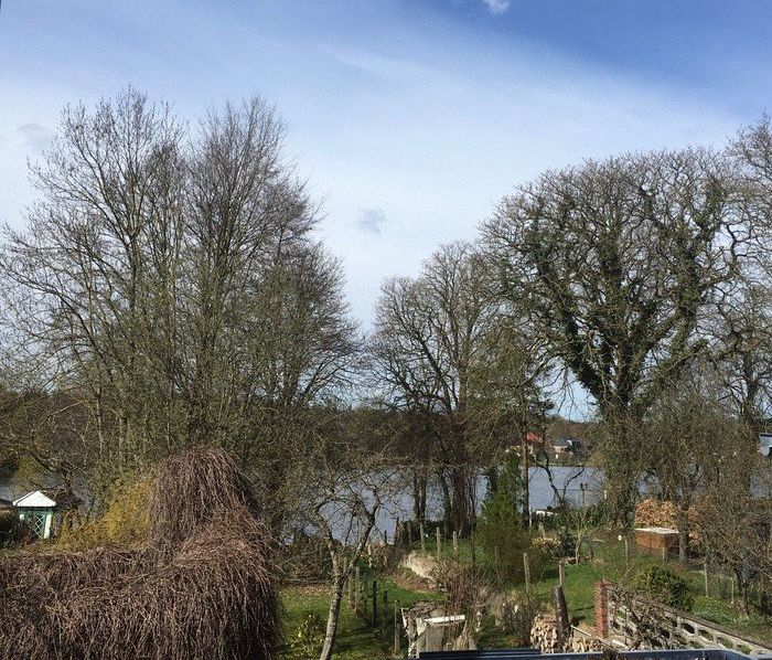 Bäume mit Blick auf einen See.