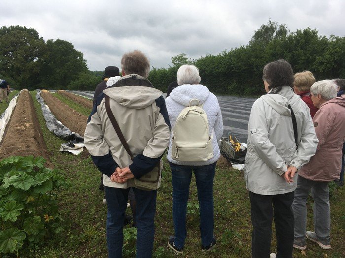 Gruppe von Menschen auf einem Feld.